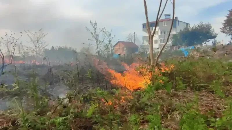 Trabzon ve Giresun Sınırında Çıkan Yangın İtfaiyenin Hızlı Müdahalesiyle Kontrol Altına Alındı